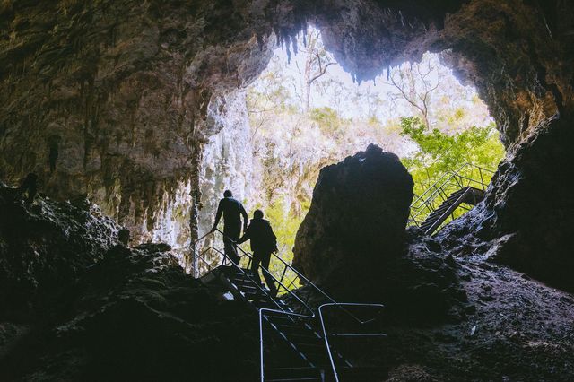 Mammoth Cave - Leeuwin-Naturaliste National Park/Boranup Karri Forest