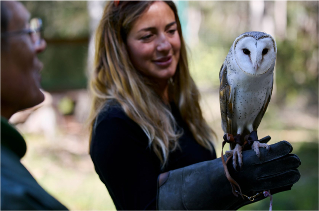 Eagles Heritage - Margaret River