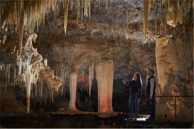 Lake Cave - Leeuwin-Naturaliste National Park/Boranup Karri Forest