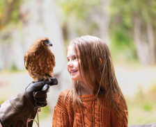 Capes Raptor Centre