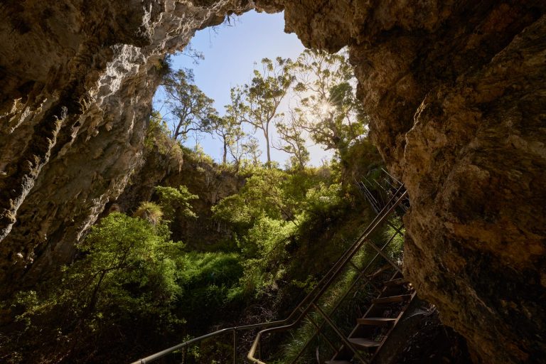 From inside the cave, looking out to the forest and blue sky above
