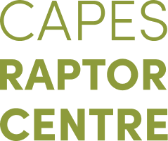 Capes Raptor Centre Logo