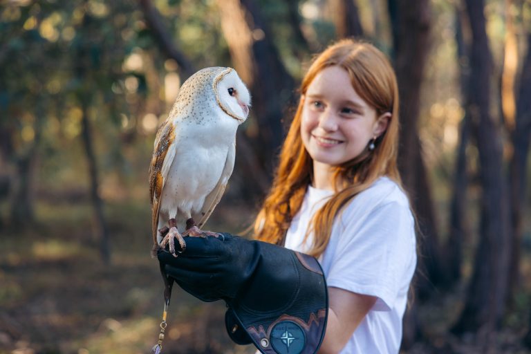 Visitor holding barn owl on glove.
