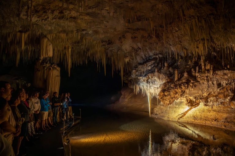 Visitors stand on a boardwalk inside Lake Cave, looking at stalactites and shawl formations reflected in the calm water of the underground lake, softly lit within the limestone chamber.