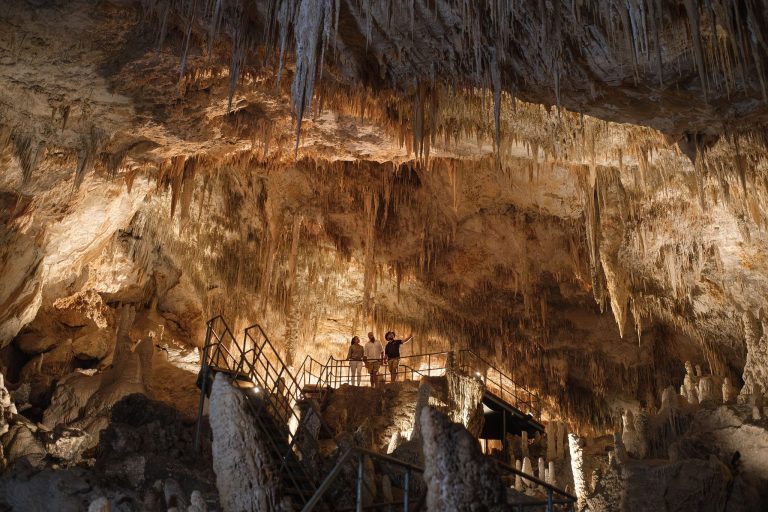Visitors stand on a viewing platform inside Mammoth Cave, surrounded by tall stalactites and stalagmites in a large, softly lit limestone chamber.