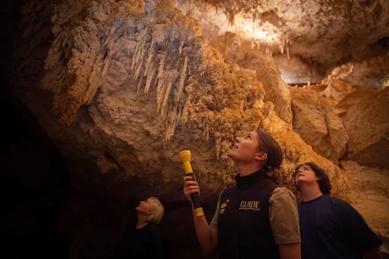 Tour guide and patron looking up at cave formation with a torch inside Jewel Cave.