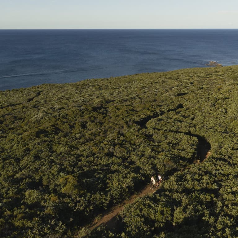 drone shot of 2 people walking the trails around Cape Naturaliste Lighthouse.
