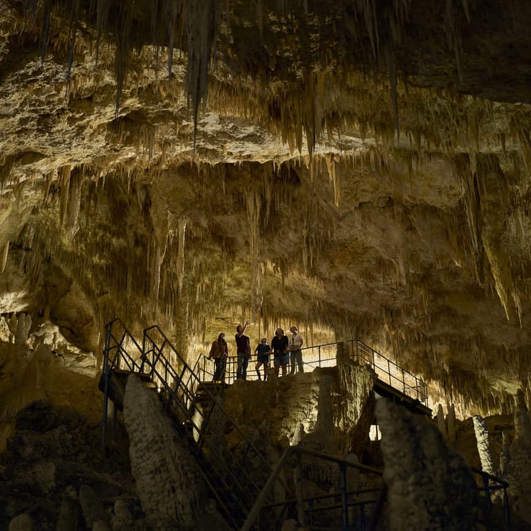 A group of people standing inside an expansive chamber inside Mammoth Cave
