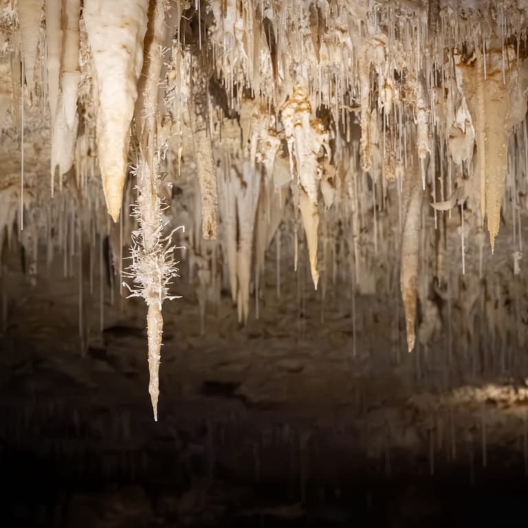 Helictite cave formations inside Jewel Cave