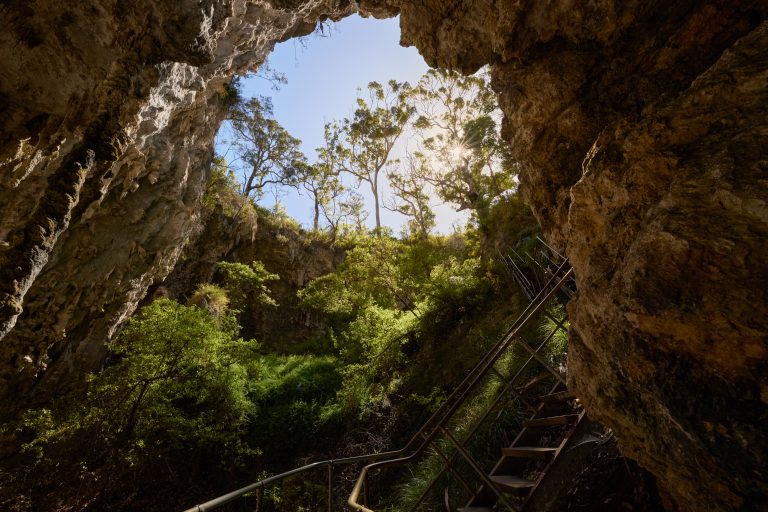 From inside the cave, looking out to the forest and blue sky above